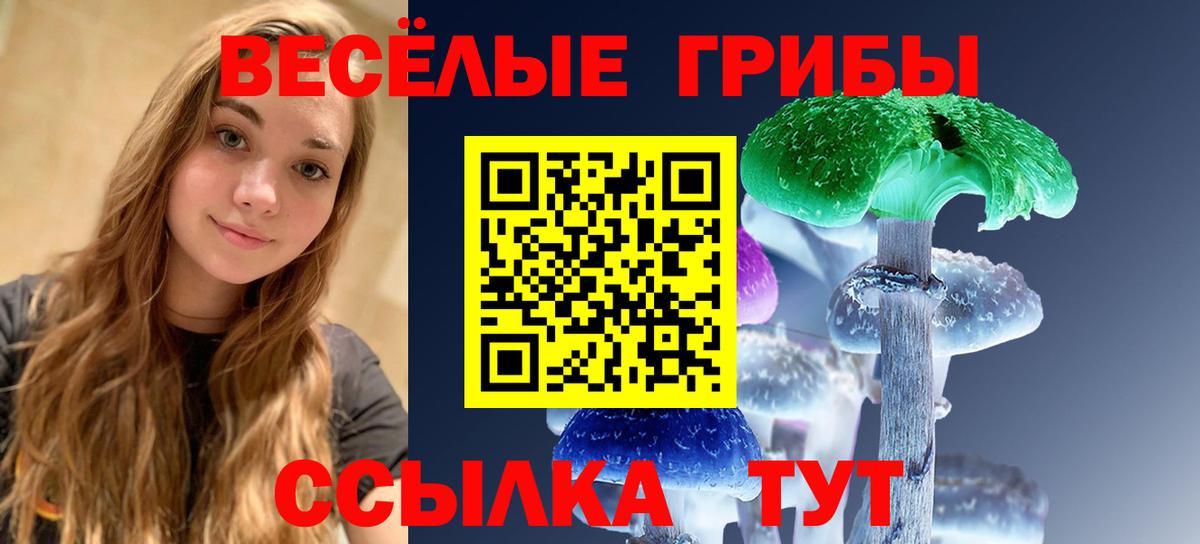 Псилоцибиновые грибы ЛСД  Вход с VPN  Димитровград 